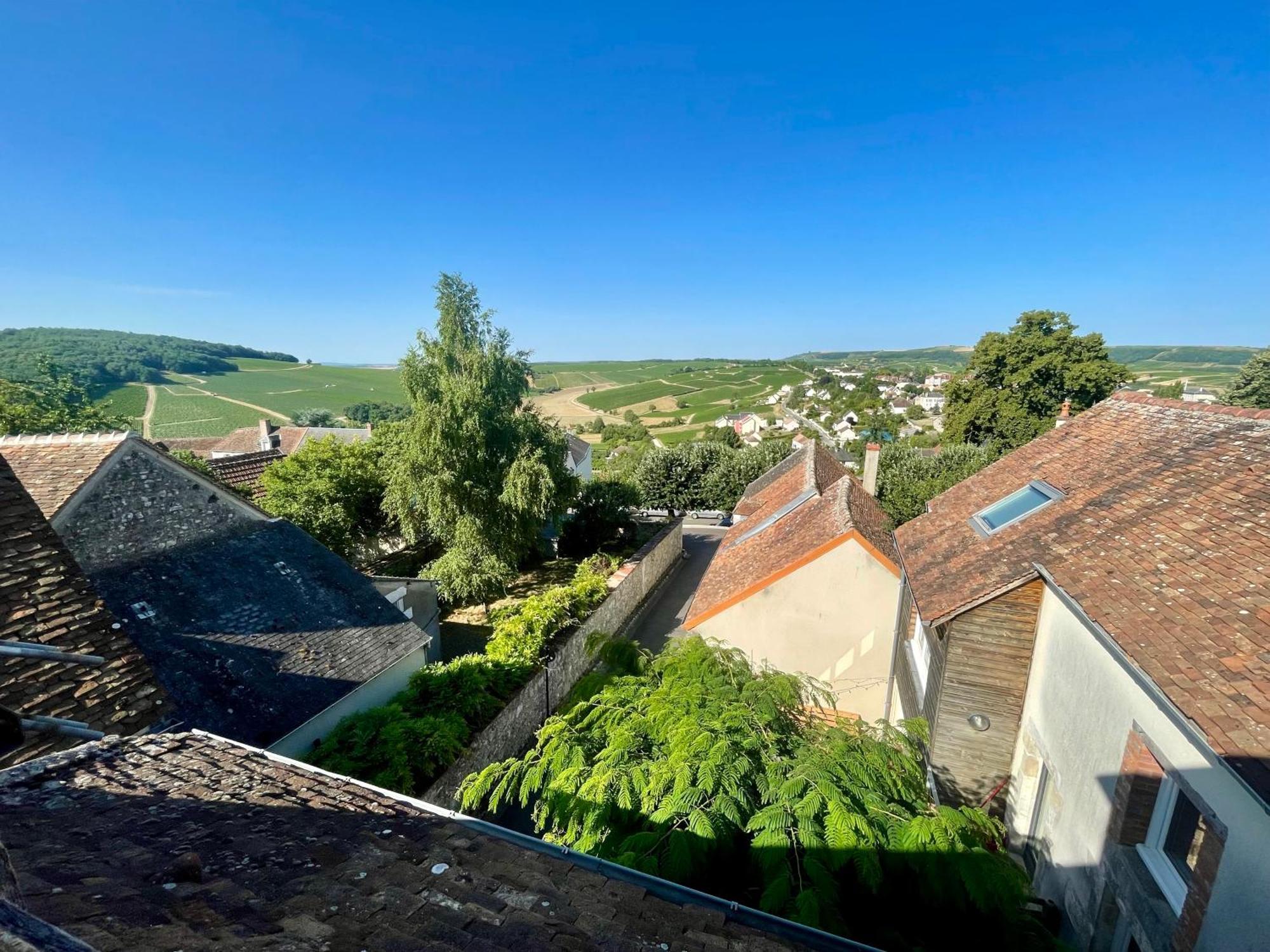 Appartement Cosy Vue Sur Le Vignoble Sancerre Exterior foto